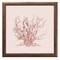12" x 12" Pink Coral II Framed Wall Art, Contemporary Nature Home Décor, Glass Facing and Hanging Hardware Included
